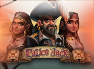 Игровой автомат Калико Джек – онлайн игра на реальные деньги